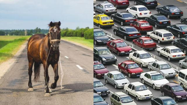Minyak Makin Mahal, Wanita Ini Pilih Kereta Kuda Ganti SUV Miliknya