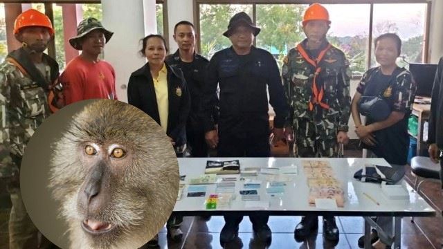 Monyet Curi Beg Wanita Berisi Wang RM 6, 000