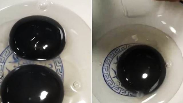 Kuning Telur Angsa Warna Hitam Cetus Tanda Tanya Pakar