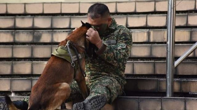 Video Of Soldier And His Dog Cuddling After Their Last National Day Parade Stole Our Hearts!
