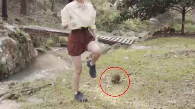 Hong Kong Actress, Priscilla Wong’s Leg Injured By Durian While Filming Travel Show In Malaysia