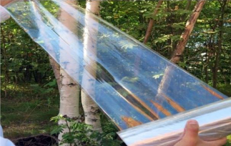 did someone say edible plastic bags?