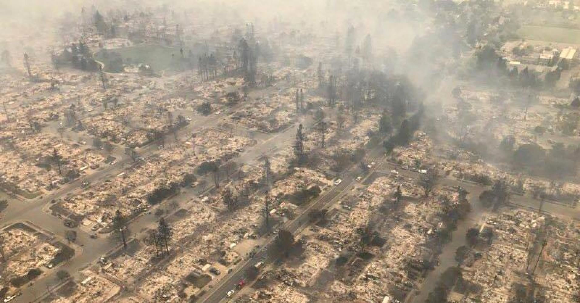 jumpa api menyala dalam pokok tapi pokok lain tak terbakar pun
