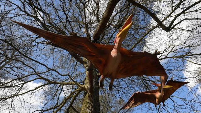 ratusan telur haiwan prasejarah, burung pterosaur ditemui
