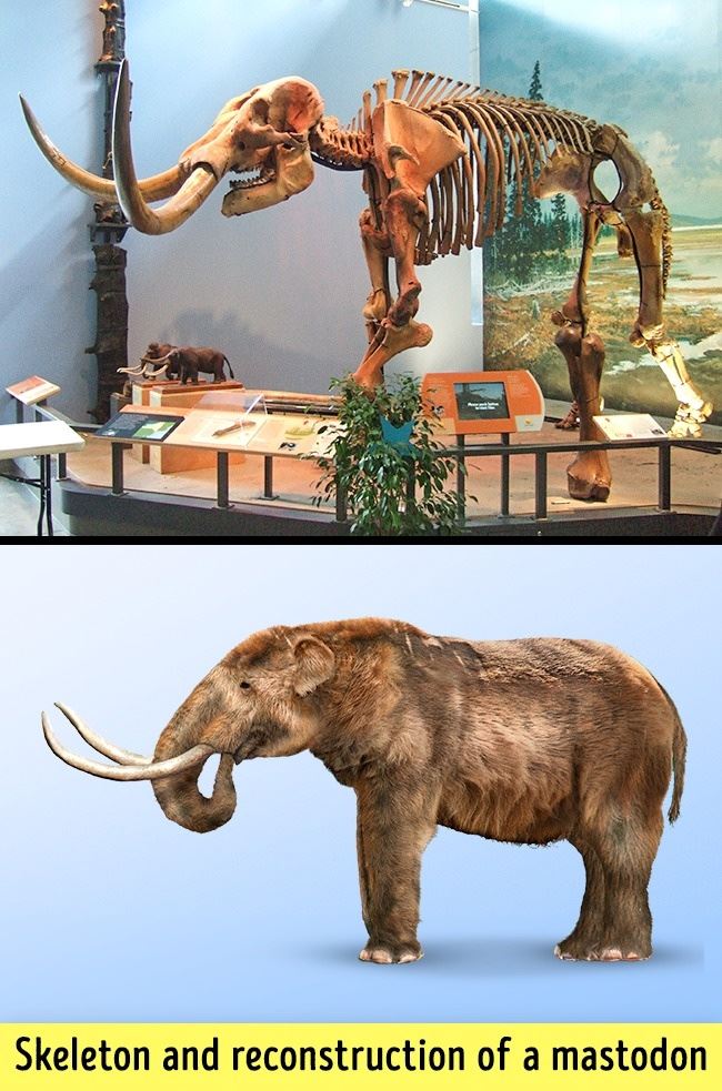 6 benda kita pernah dengar tapi tak pernah lihat