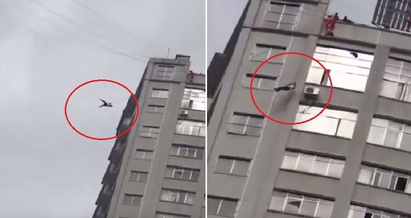 tak nak bayar bil hotel, lelaki ni panjat wayar telefon