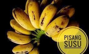 mari belajar jenis-jenis pisang