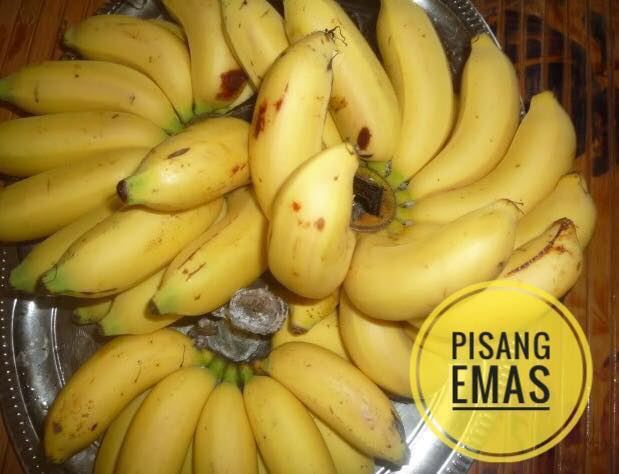 mari belajar jenis-jenis pisang