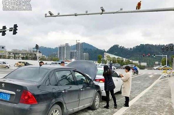 wanita kemalangan akibat tersilap punggung monyet sebagai lampu merah