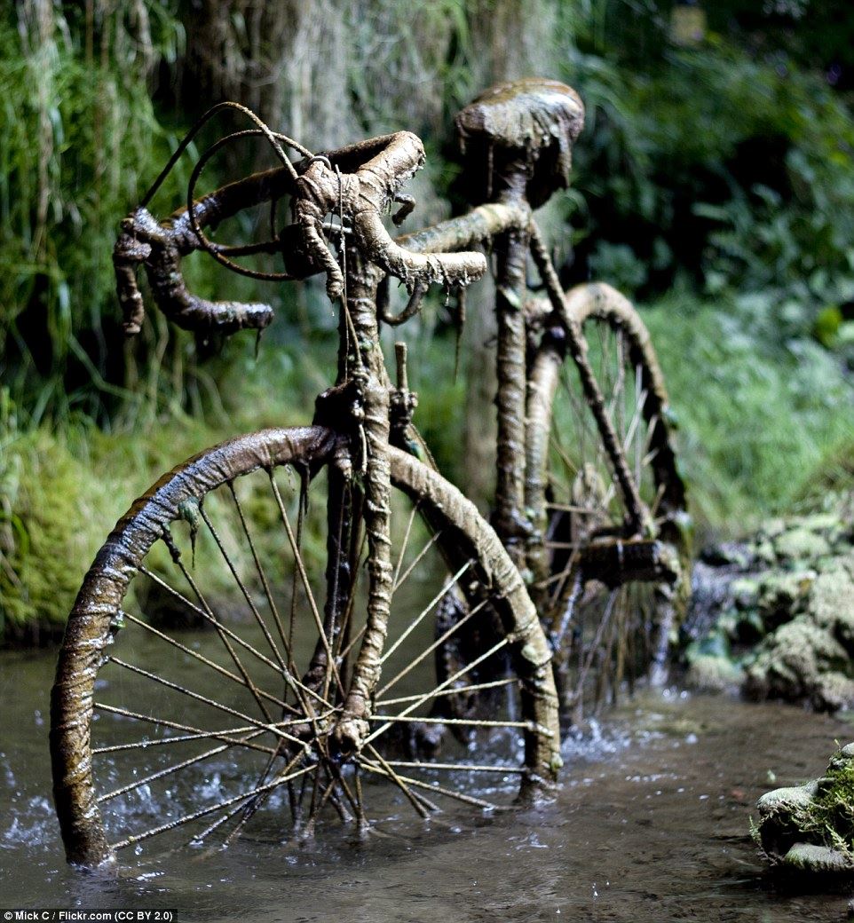 air daripada perigi ini boleh tukar sebarang objek jadi batu