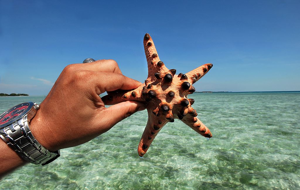 kalau tengok cara tapak sulaiman berjalan mesti rasa geli nak pegang lepas ni
