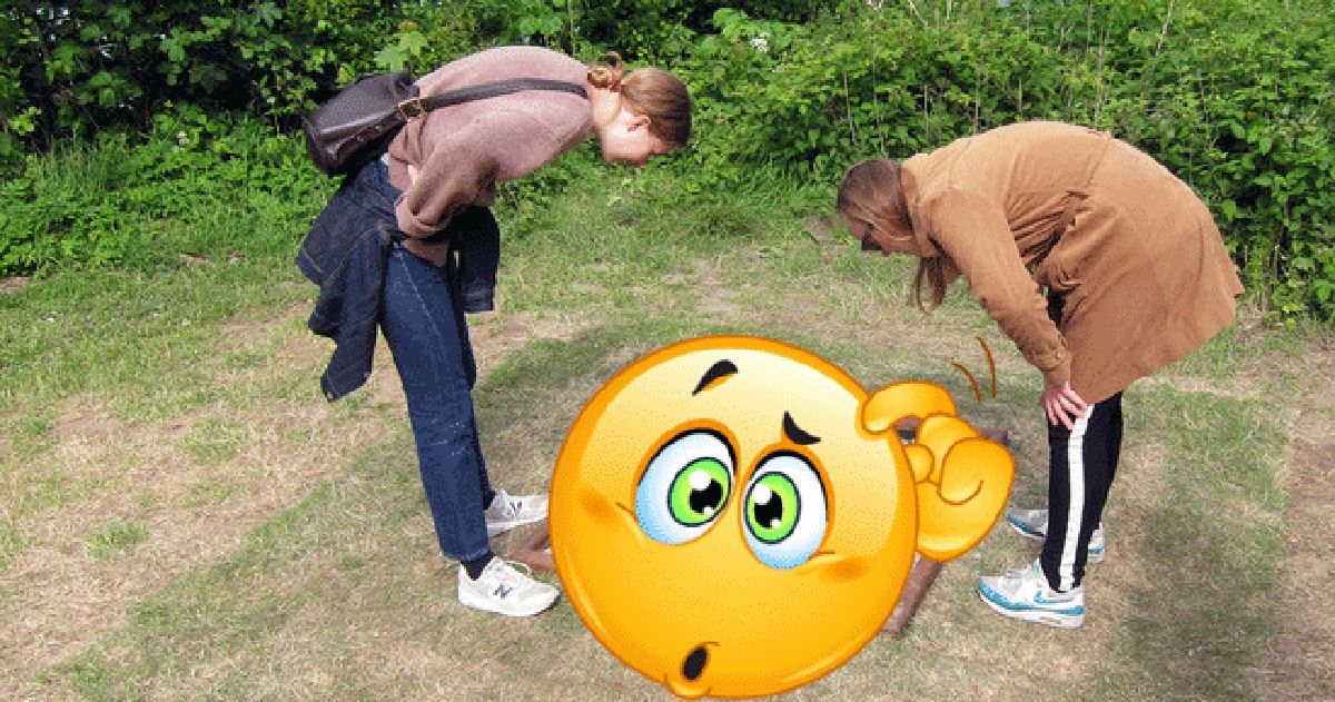 jumpa lubang aneh yang isinya tak patut berada di situ