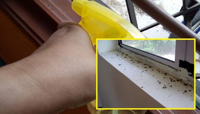 perlukan 3 bahan ni je nak cuci tahi cicak penuh tepi tingkap