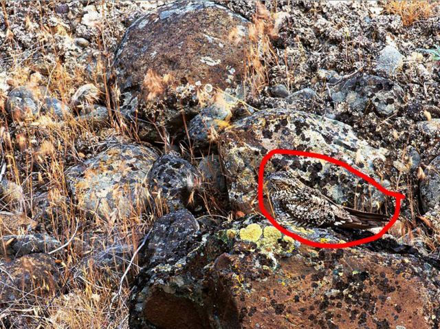 ramai tak percaya apa yang ada dalam gambar ni