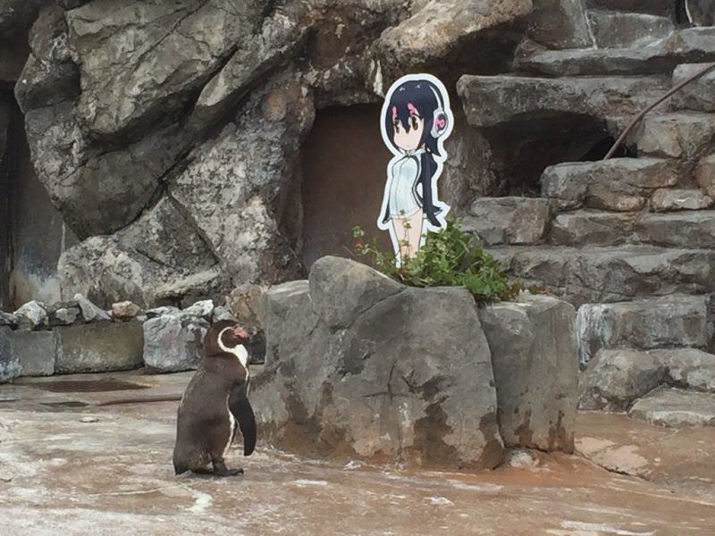 penguin ni sedih dan kecewa penjaga zoo bawa keluar 
