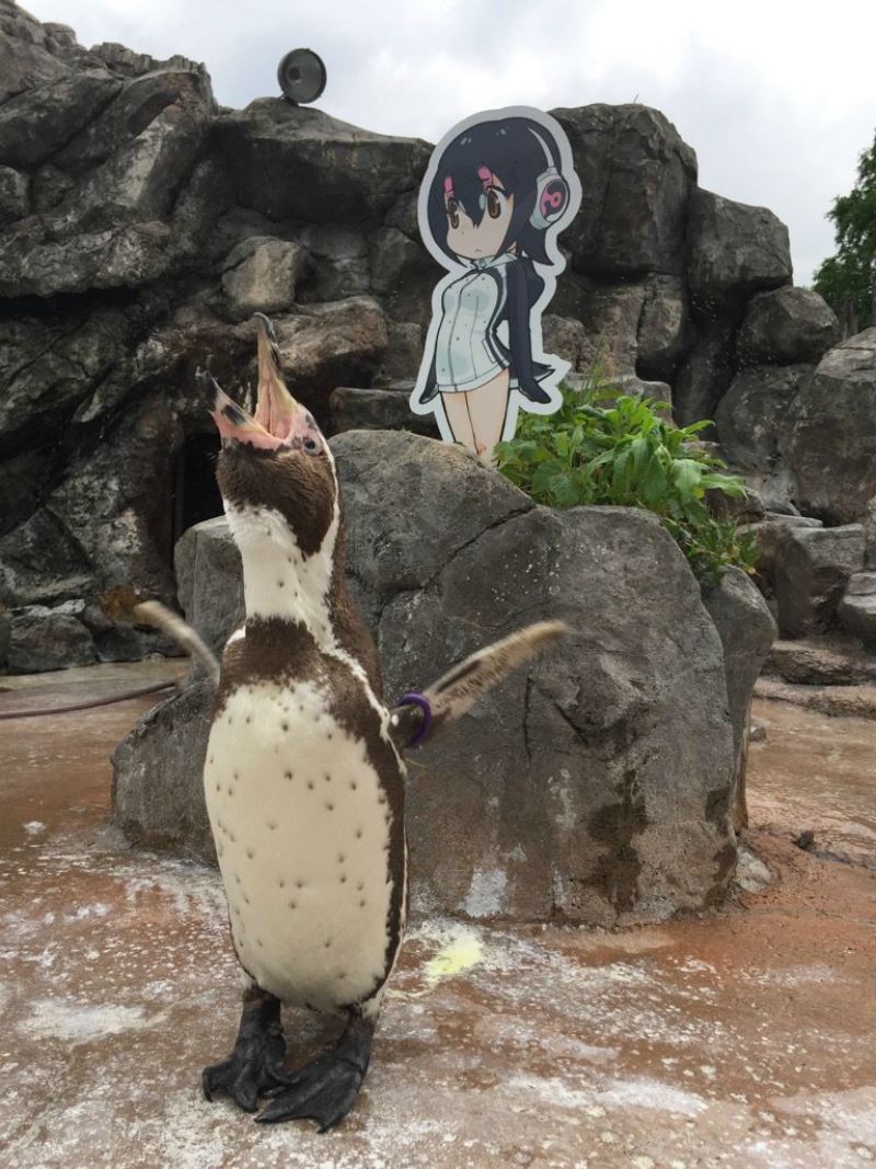 penguin ni sedih dan kecewa penjaga zoo bawa keluar 