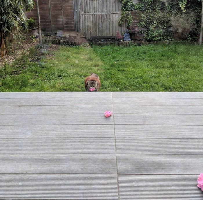 setiap hari ada bunga depan pintu rumah wanita ni, sampailah dia tahu siapa yang bagi