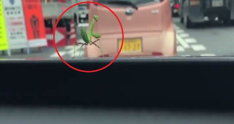 mentadak berjoget happy dapat tumpang kereta jadi viral