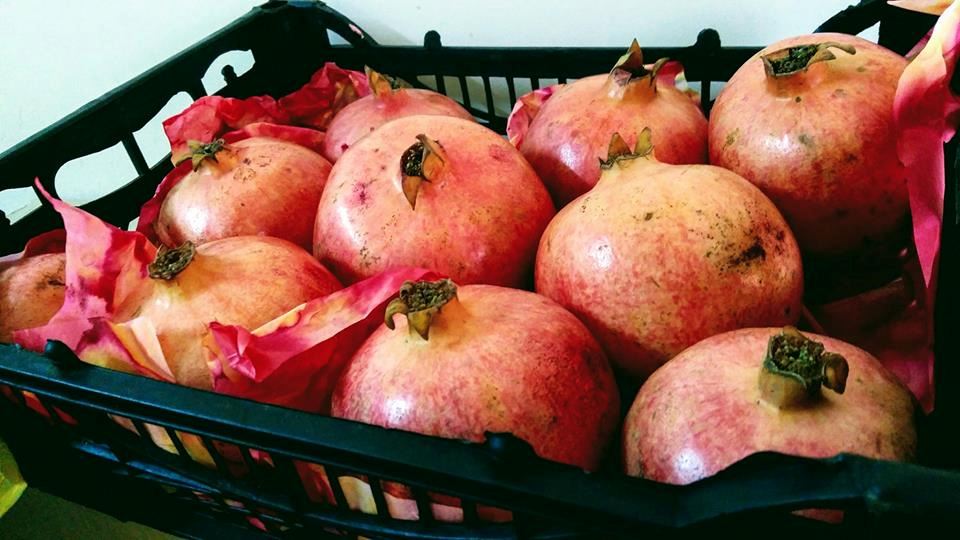 tak sangka kulit delima lagi berkhasiat dari isinya!