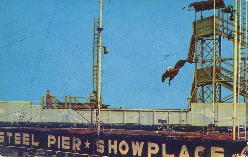 sebelum ini pernah ada sukan kuda terjun dalam air dari ketinggian 40 kaki