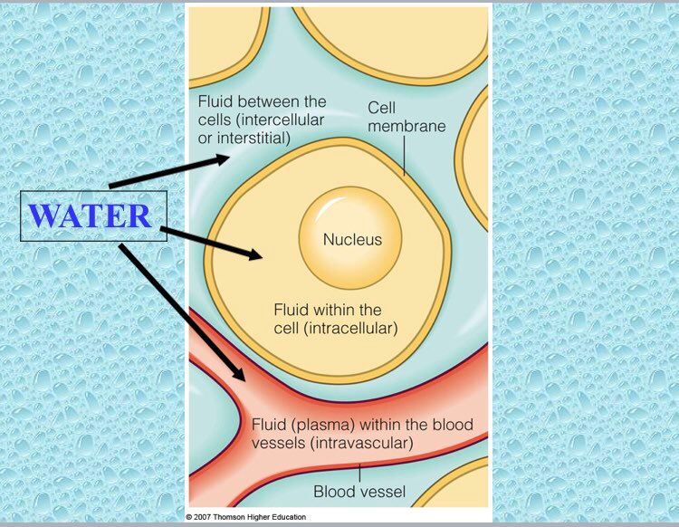 badan berlebih air dengan gemuk air sama ke ? ni jawapannya
