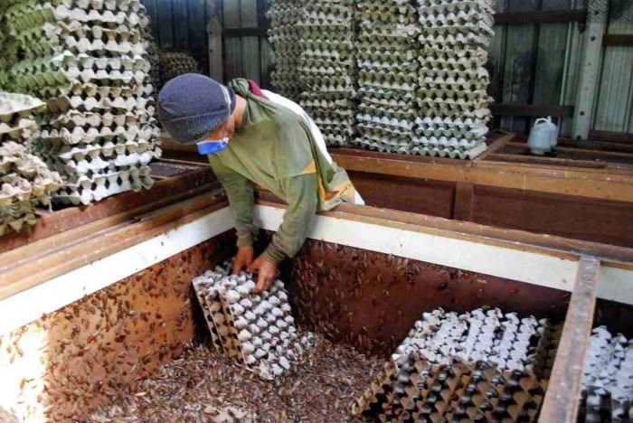 bela lipas, lelaki ni dapat rm 28, 000 sebulan. serius ?