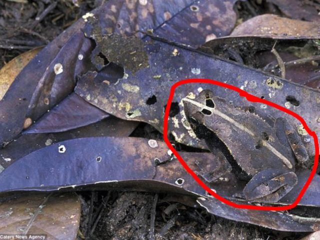 ramai tak percaya apa yang ada dalam gambar ni