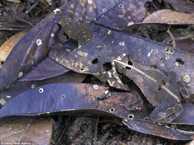 ramai tak percaya apa yang ada dalam gambar ni