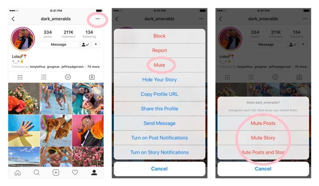 yesss ! akhirnya boleh mute gambar kawan yang kita tak suka kat instagram 
