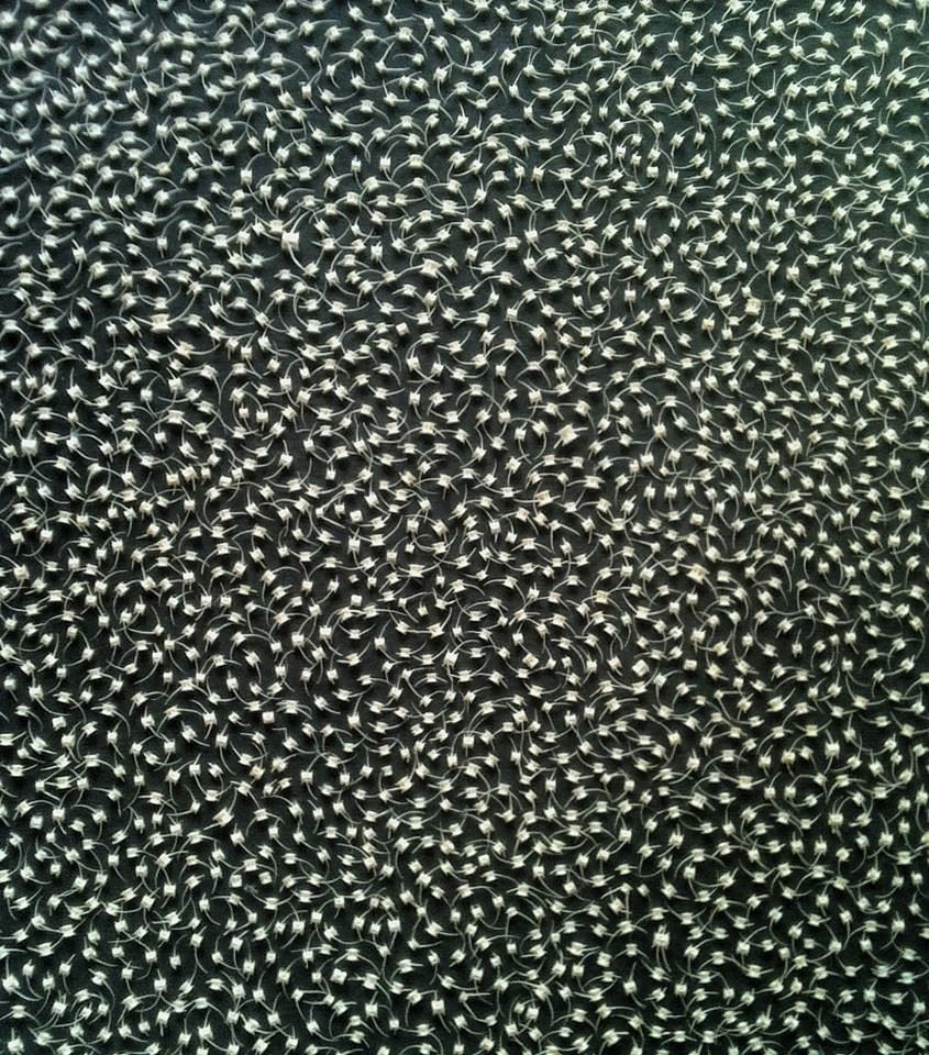 gadis ini tak buang tulang ikan lepas makan sebab nak jadikan lukisan