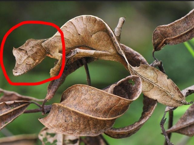 ramai tak percaya apa yang ada dalam gambar ni