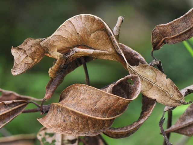 ramai tak percaya apa yang ada dalam gambar ni