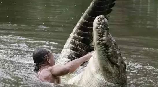 hidup bersama sejak 20 tahun, lelaki dan buaya ini dah macam family