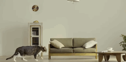 kucing pun dah ada sofa, katil dan meja makan saiz mereka sendiri