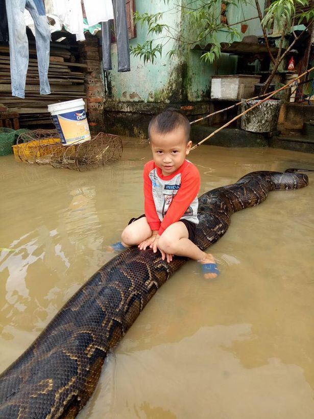 seronok adik ni naik belakang ular macam tunggang kuda