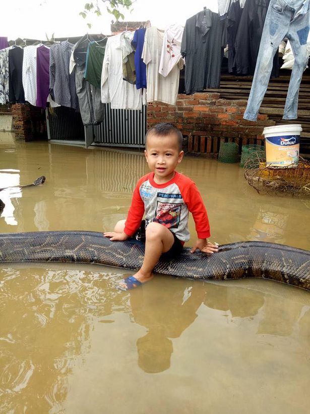 seronok adik ni naik belakang ular macam tunggang kuda