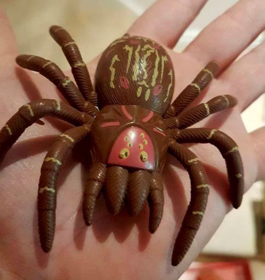 call pegawai untuk tangkap tarantula gergasi, rupanya mainan je!