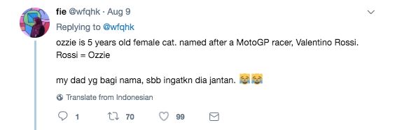 seronok betul baca kisah ozzie si kucing buta dan pekak ni