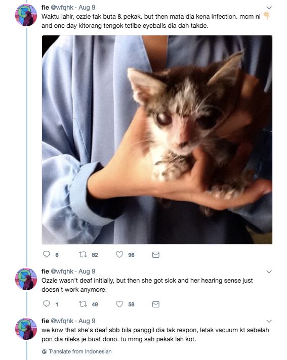 seronok betul baca kisah ozzie si kucing buta dan pekak ni