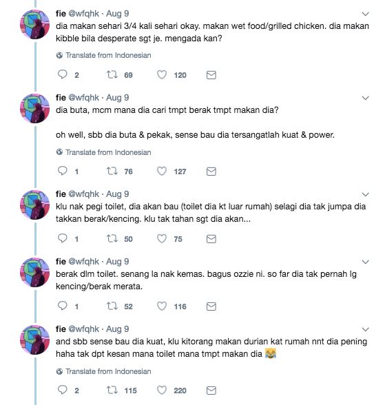 seronok betul baca kisah ozzie si kucing buta dan pekak ni