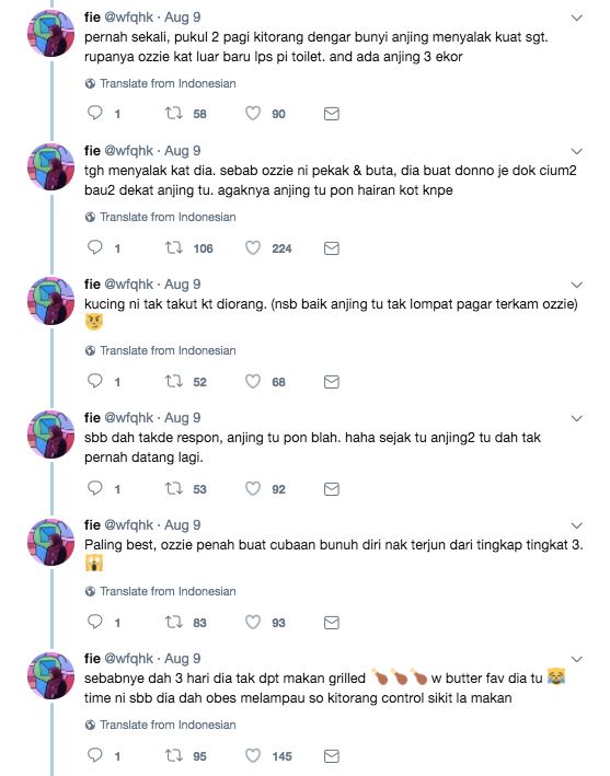 seronok betul baca kisah ozzie si kucing buta dan pekak ni