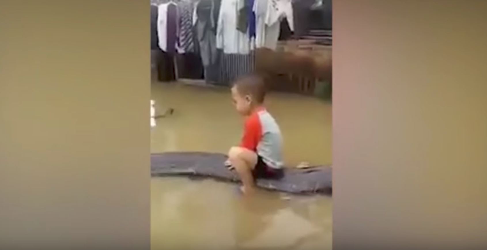 seronok adik ni naik belakang ular macam tunggang kuda