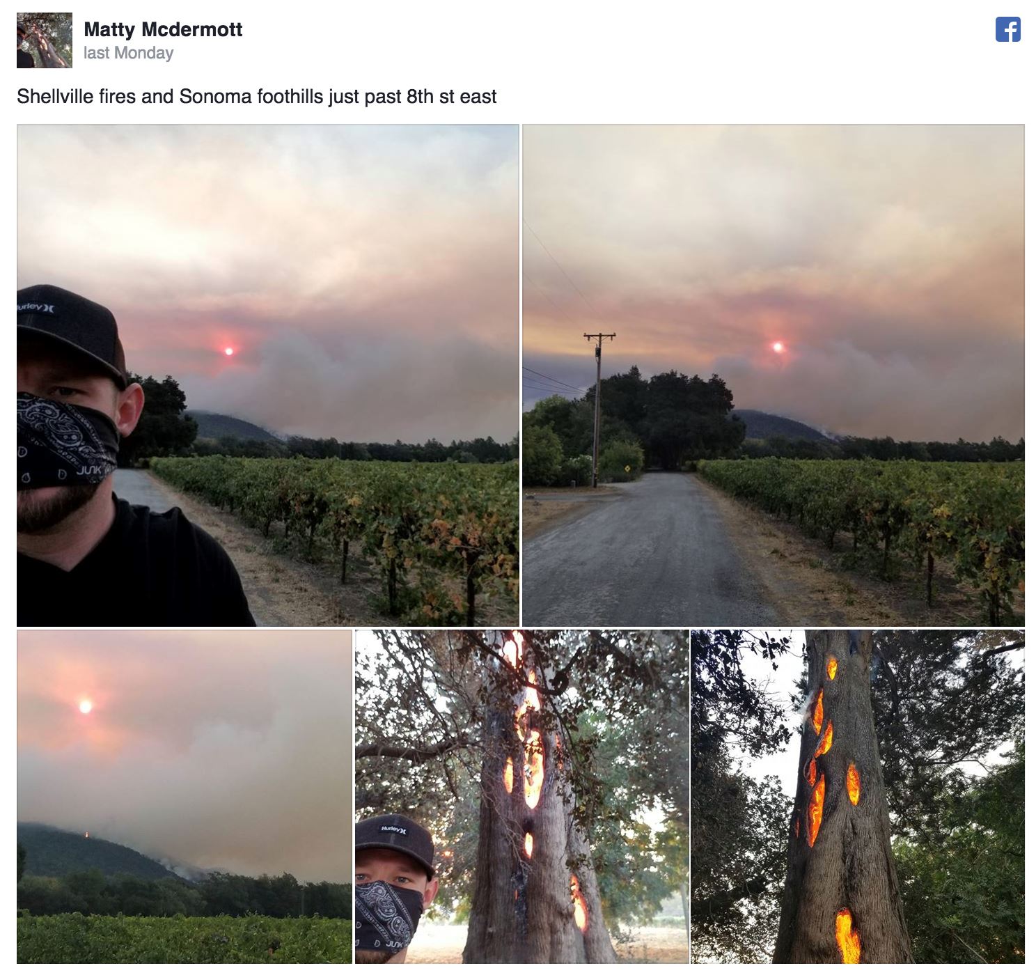 jumpa api menyala dalam pokok tapi pokok lain tak terbakar pun