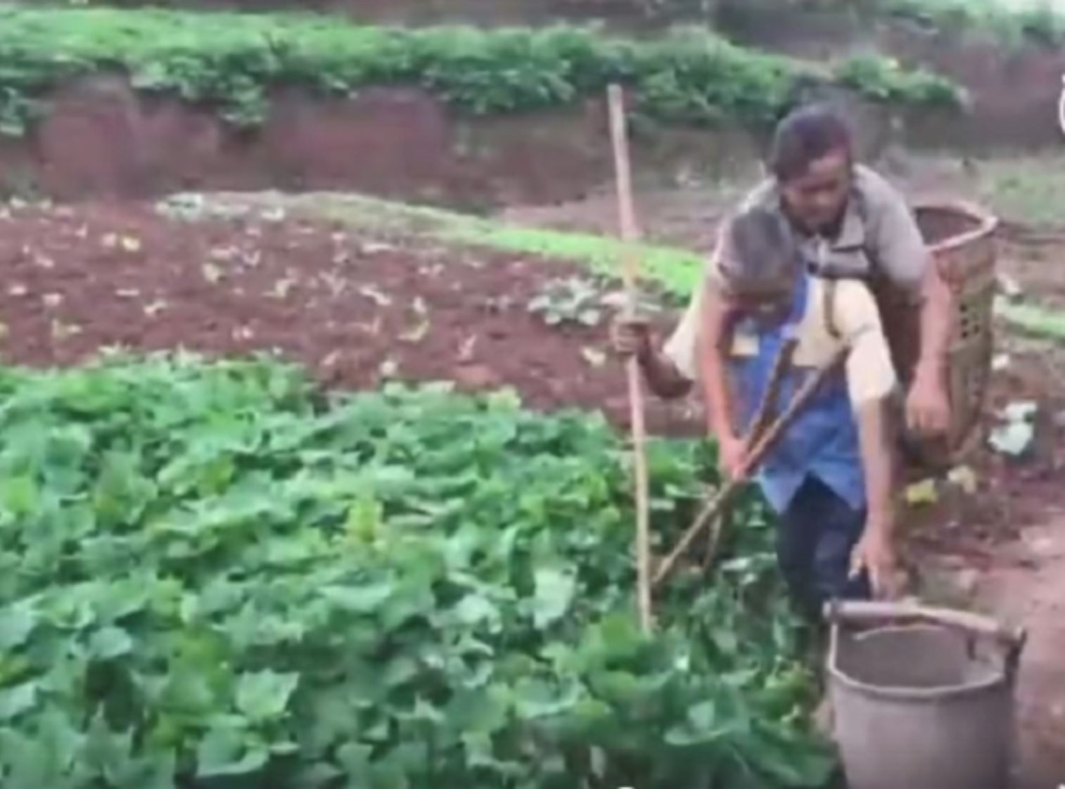 isteri kurang upaya duduk dalam bakul jadi mata untuk suami buta cari rezeki
