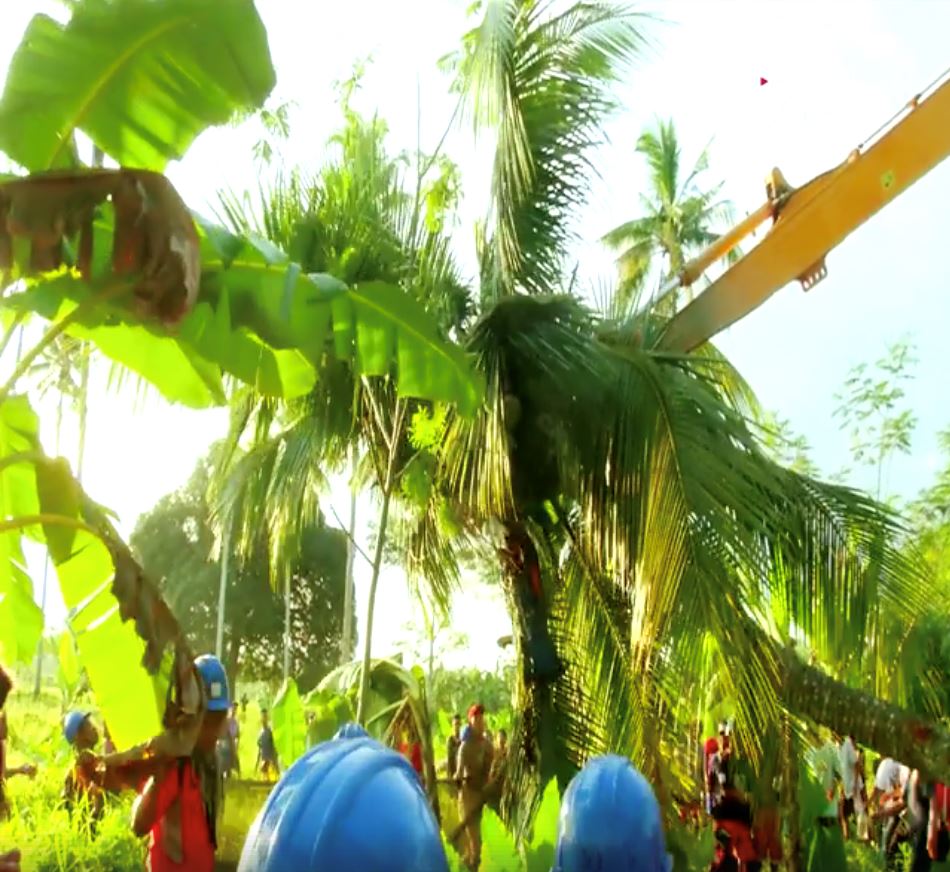 3 tahun duduk atas pokok kelapa, lelaki ini berjaya turun dengan gergaji