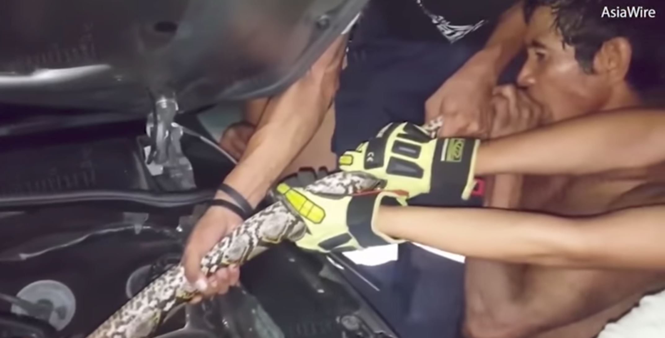 guna teknik gigit ekor sebab nak keluarkan ular dari enjin kereta