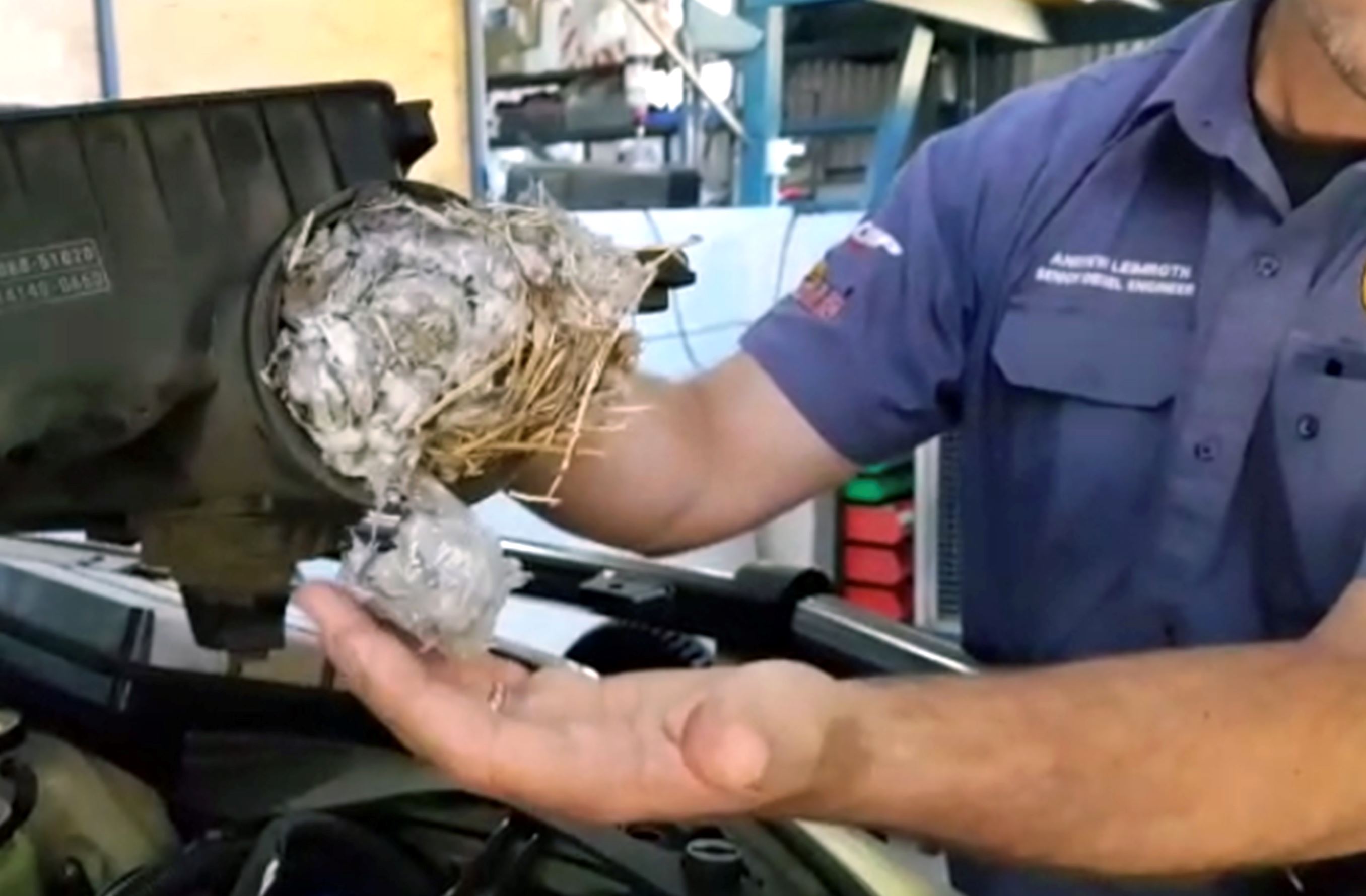 enjin selalu keluar asap, rupanya ada tikus gergasi buat sarang  