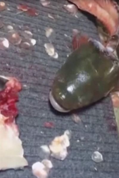 ikan keli dah kena siang separuh badan tapi mulut masih elok bernafas