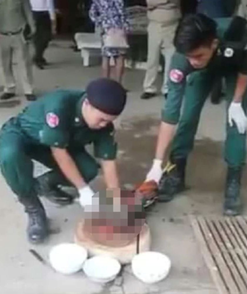 mahkamah kemboja arah hukuman mati untuk 92 ekor ayam jantan