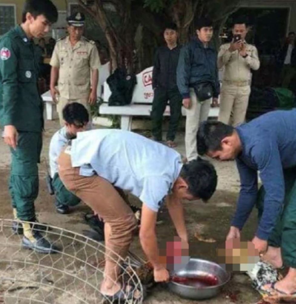 mahkamah kemboja arah hukuman mati untuk 92 ekor ayam jantan